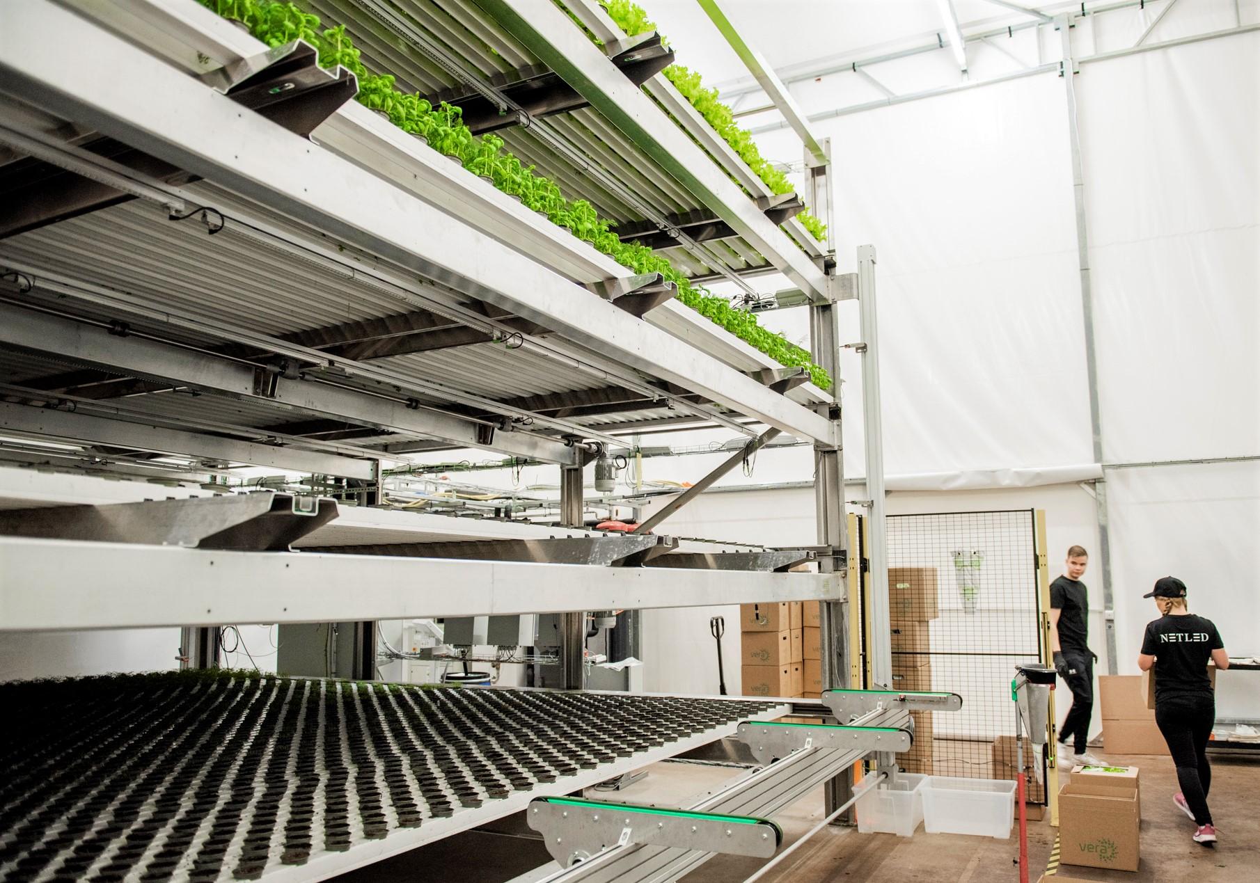 Netled Vera Industrial vertical farming system